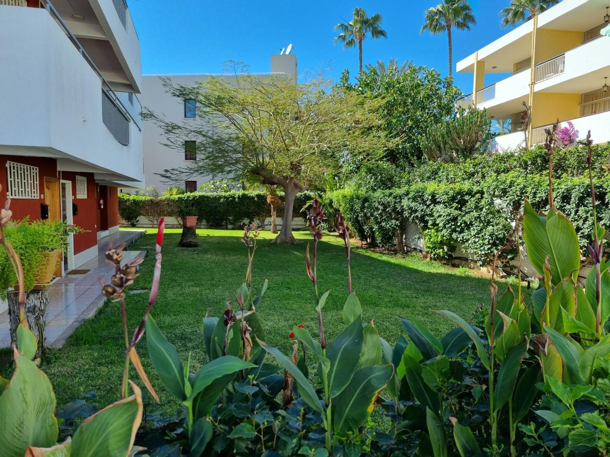 Apartment With Sea View Close To Dunes Of Playa Del Ingles San Bartolomé Esterno foto